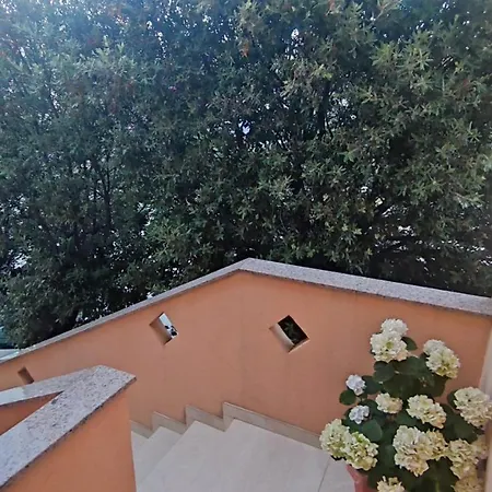 Apartment Summer In Mandre