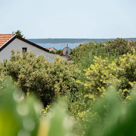 Summer In Mandre