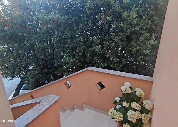 Appartement Summer In Mandre